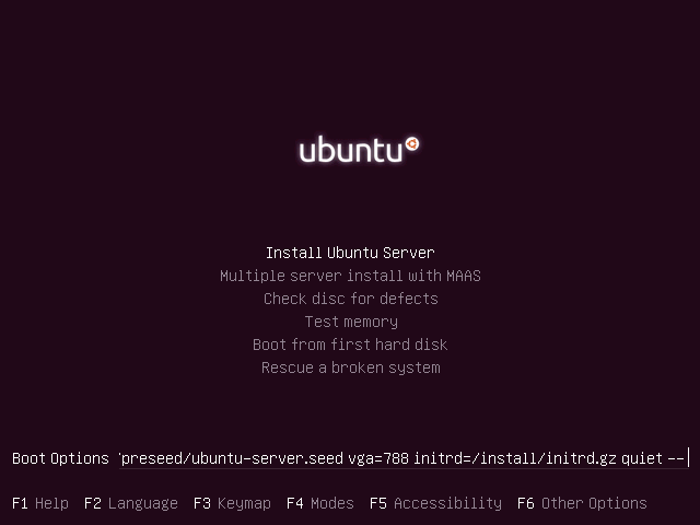 Ubuntu Boot Options