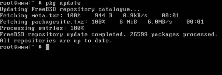 Paquetes de actualización en FreeBSD 