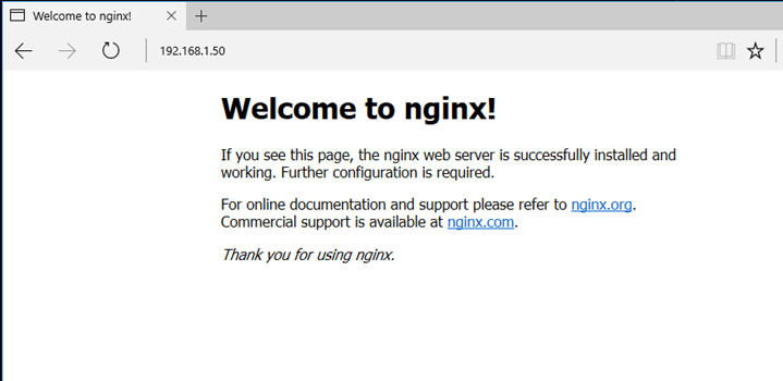 Verify Nginx on FreeBSD