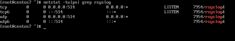 Verify Rsyslog Network Socket