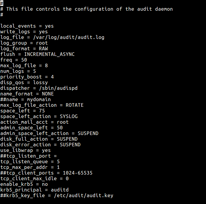 Auditd Configuration File