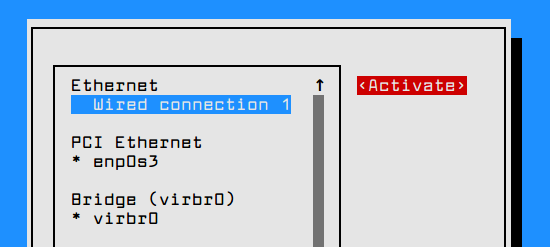 Active Network Interface