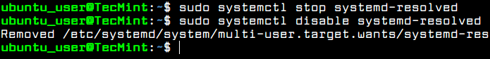 Disable Systemd Resolved Service