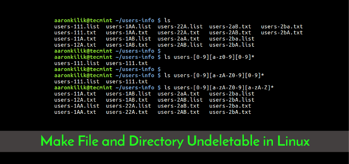 Make File and Directory Undeletable in Linux