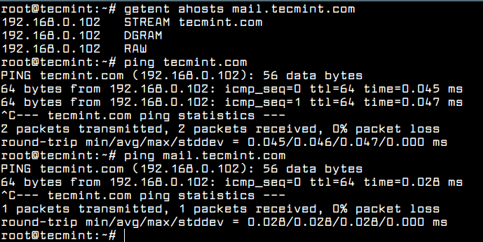 Query Domain DNS