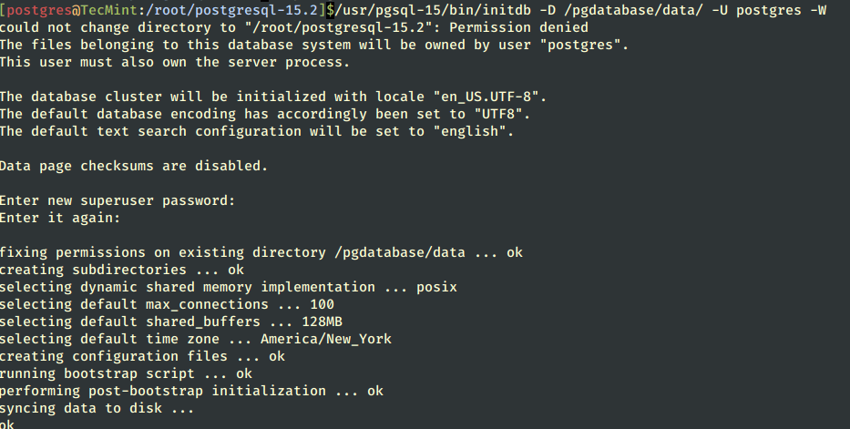 Initializing Postgres Database