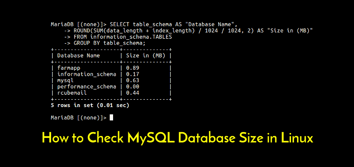 Check MySQL Database Size in Linux