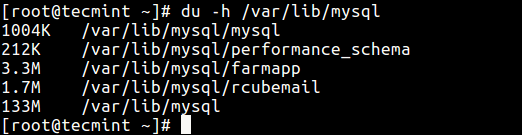 Check MySQL Size on Disk