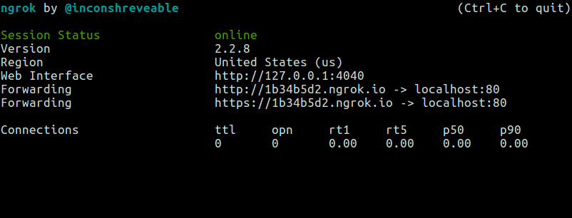 Launch Ngrok on Terminal