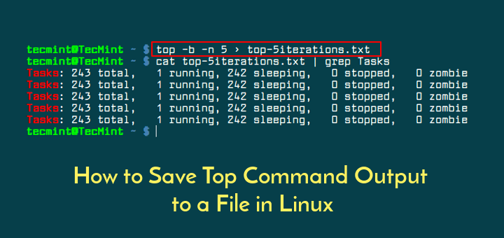 Save Top Command Output in File