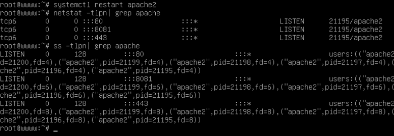  Verificar puerto Apache 