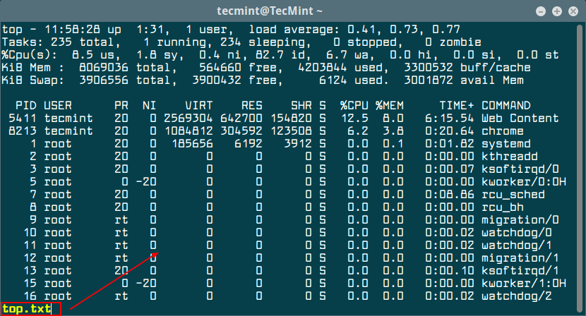 View Output of Top Command