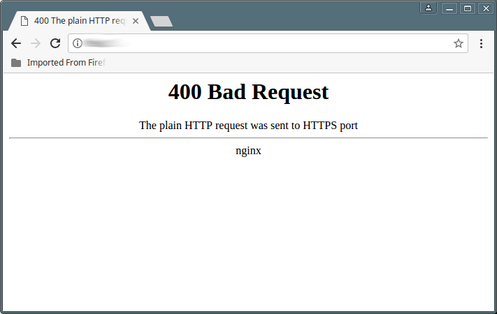 Nginx 404 Bad Request Error