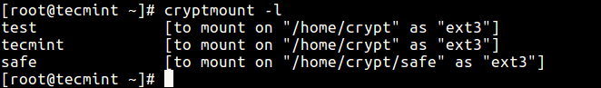 List Encrypted Filesystems in Linux