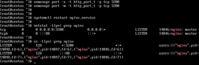 Verify Nginx New Port