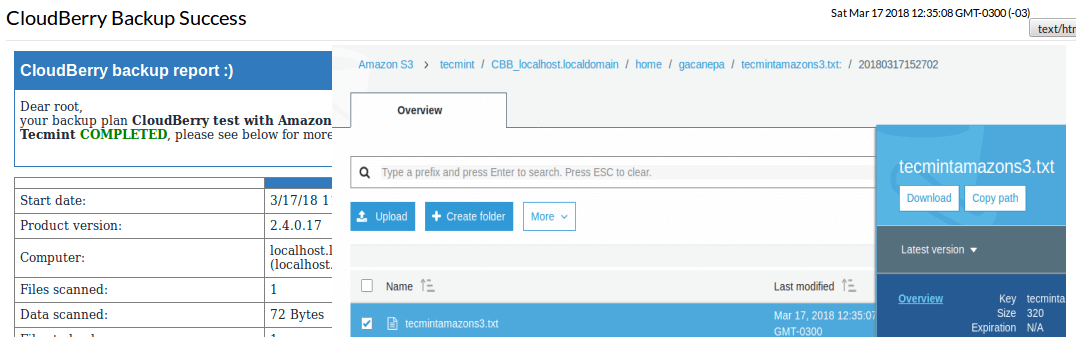 CloudBerry Backup Report