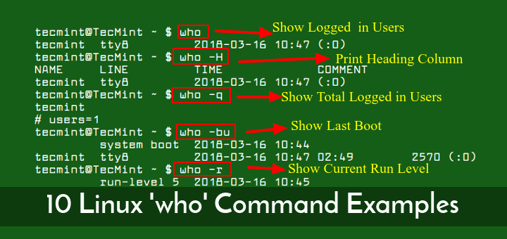 Linux who Command Examples