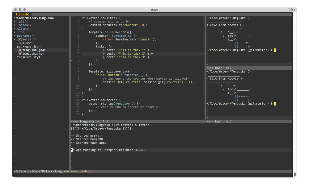 NeoVim Editor for Linux