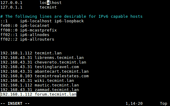 Setup Local DNS for Discourse