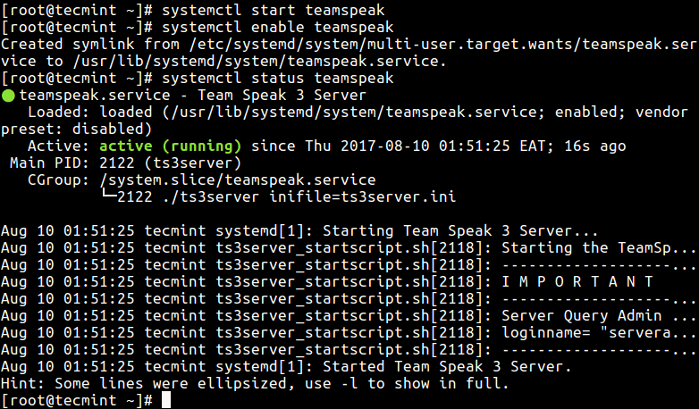 Start TeamSpeak Server