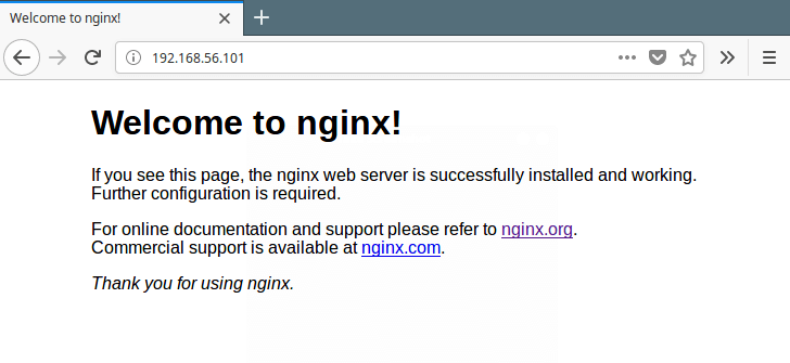 Check Nginx Web Page