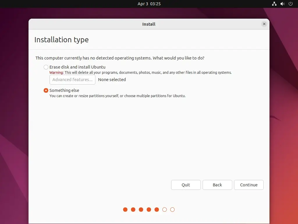 Ubuntu Installation Type