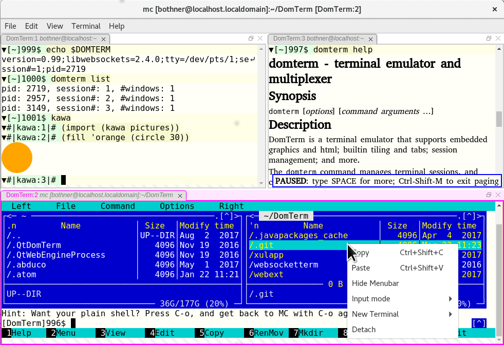  Emulador de terminal DomTerm para Linux 