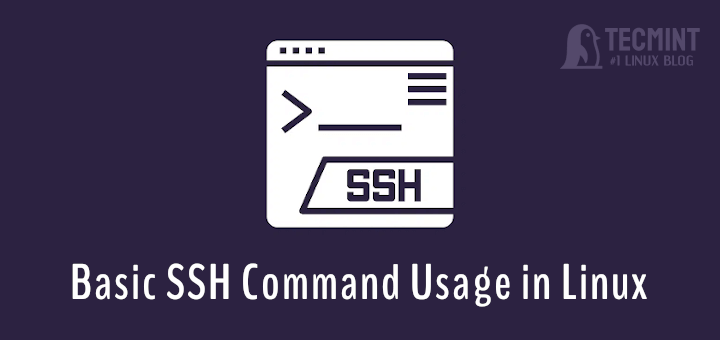 Basic SSH Command Examples