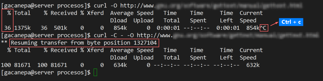 Datei mit Curl-Befehl herunterladen