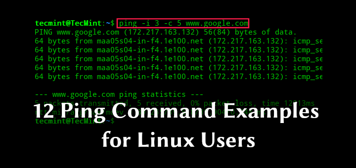 Linux Ping Command Examples