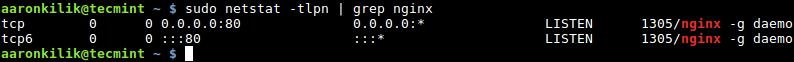 Check Nginx Port Status