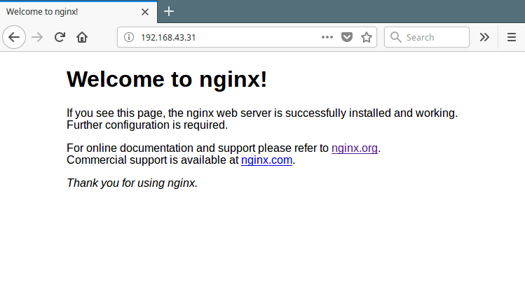  Verificar la página web de Nginx 