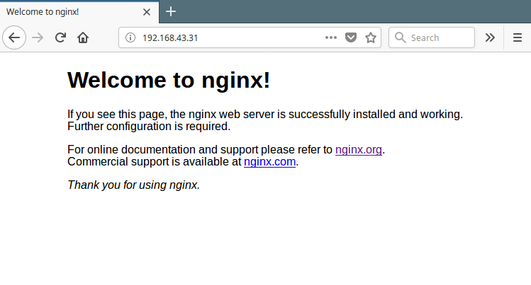 Überprüfen Sie die Nginx-Webseite