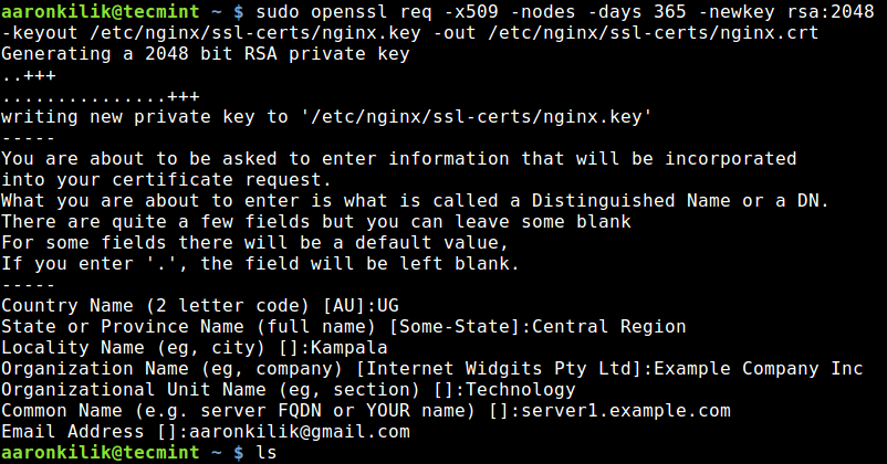 Erstellen Sie ein SSL-Zertifikat und einen Schlüssel für Nginx