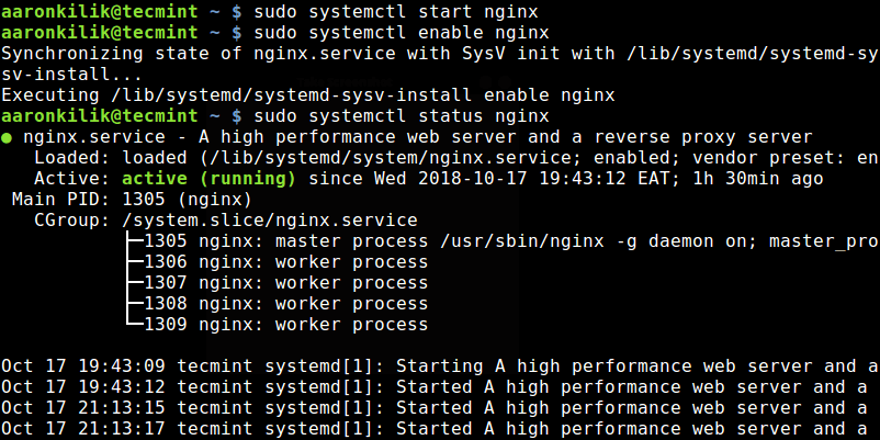 Starten und überprüfen Sie den Nginx-Status