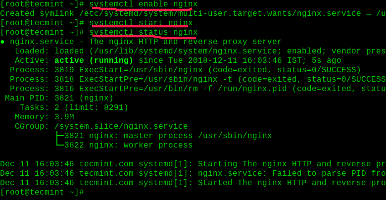 Enable and Start Nginx on RHEL 8