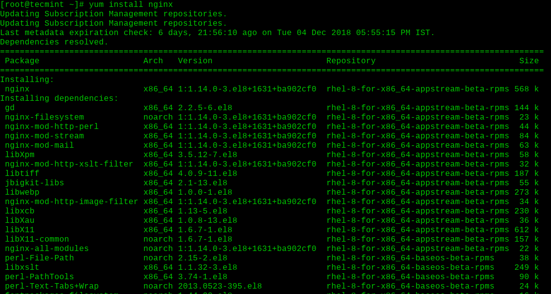 Install Nginx on RHEL 8