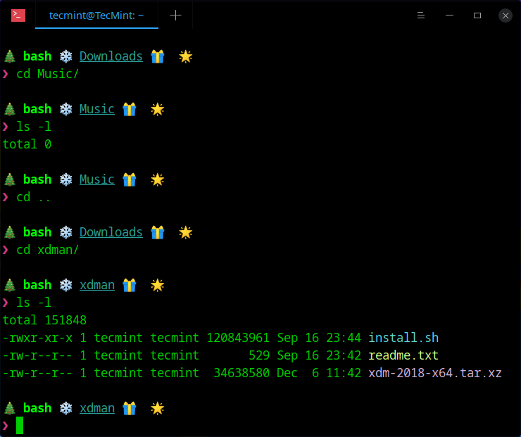 Christmassify Your Linux Terminal and Shell