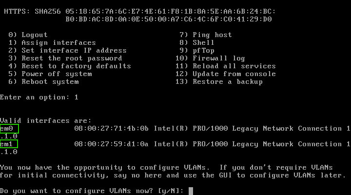 OpnSense Configure Network Interface