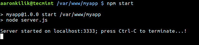 Starten Sie die Nodejs App mit NPM