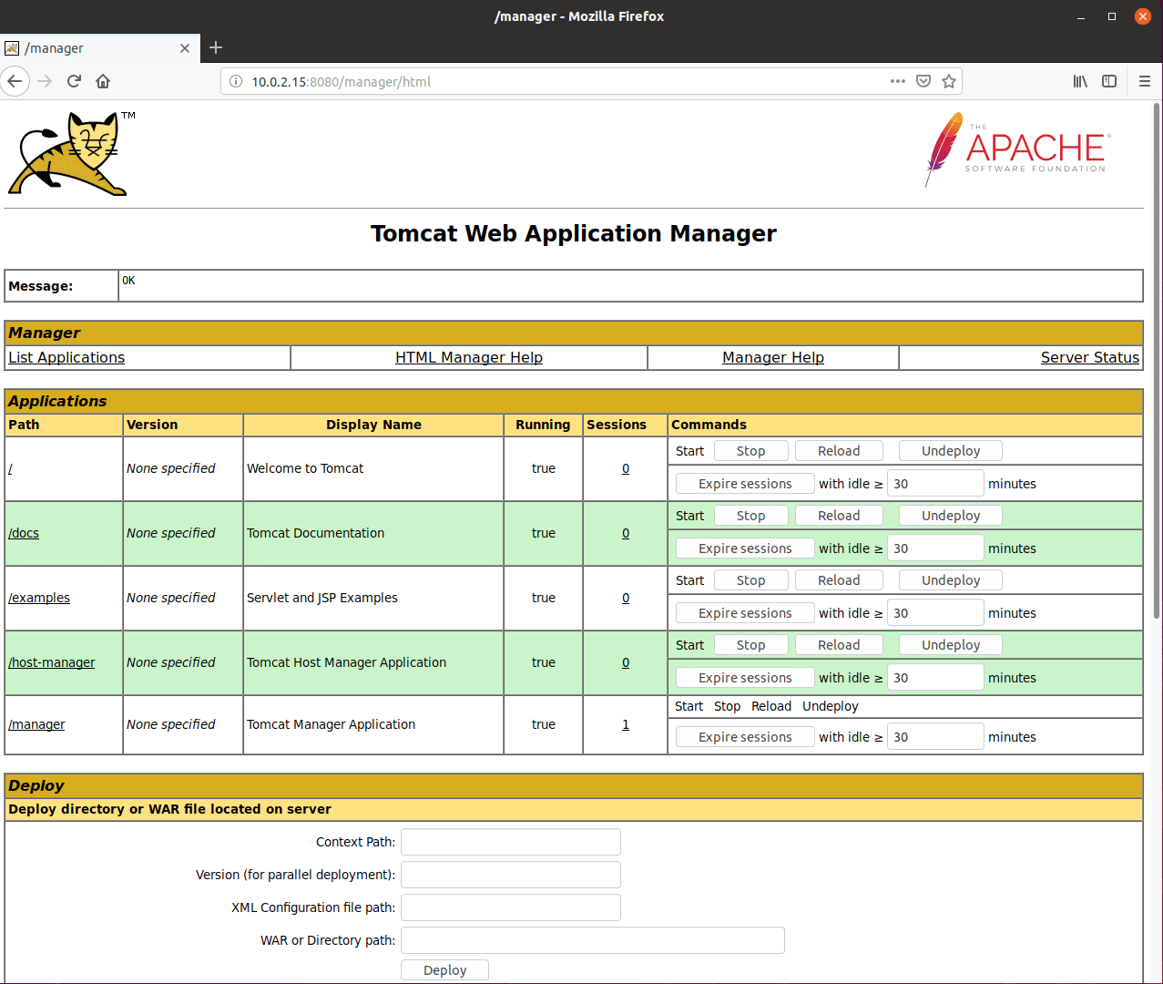 Greifen Sie auf Apache Tomcat Manager zu