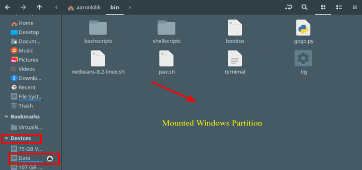 Mount Windows Partitions in Ubuntu