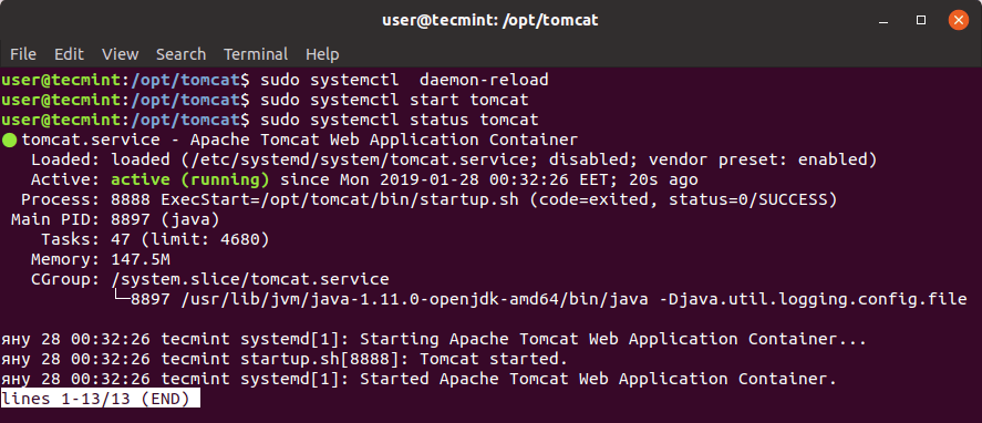 Verify Apache Tomcat Status