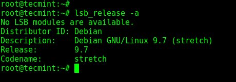  Verificar la versión de publicación de Debian 