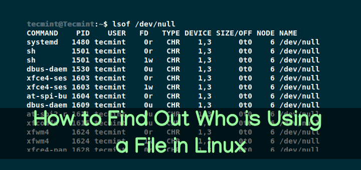 Find Out Who is Using a File in Linux