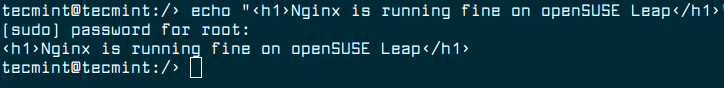 Create Nginx Index File