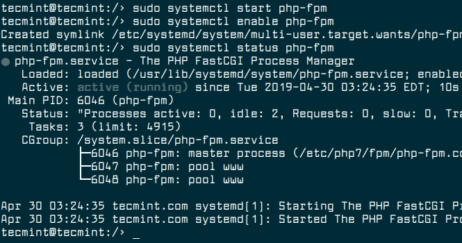 Start PHP-FPM Service