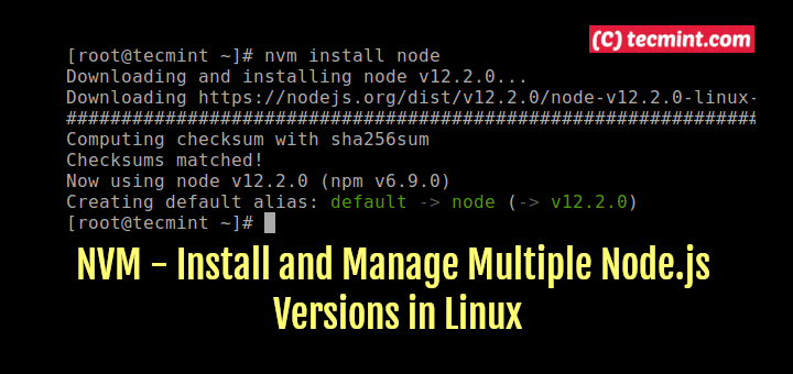 Install Multiple Nodejs Versions in Linux