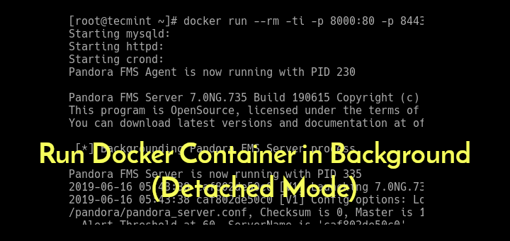 Details 200 docker run in background