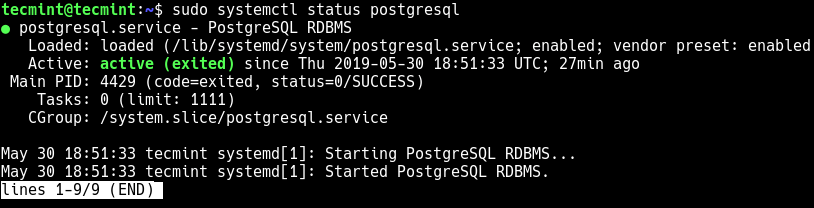 Überprüfen Sie den Postgres-Servicestatus